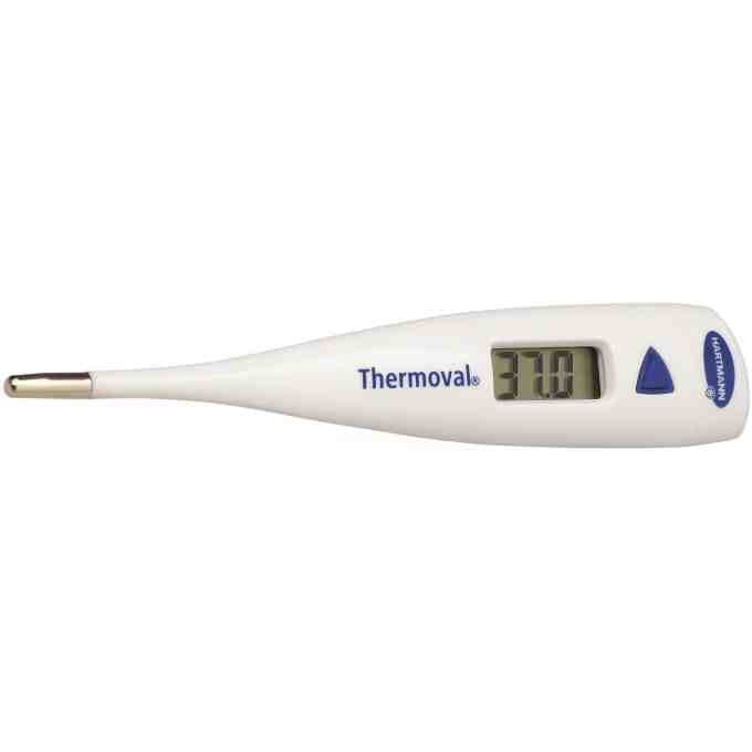 Termometru digital Thermoval Standard