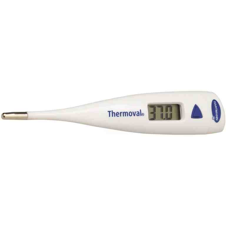 Termometru digital Thermoval Standard