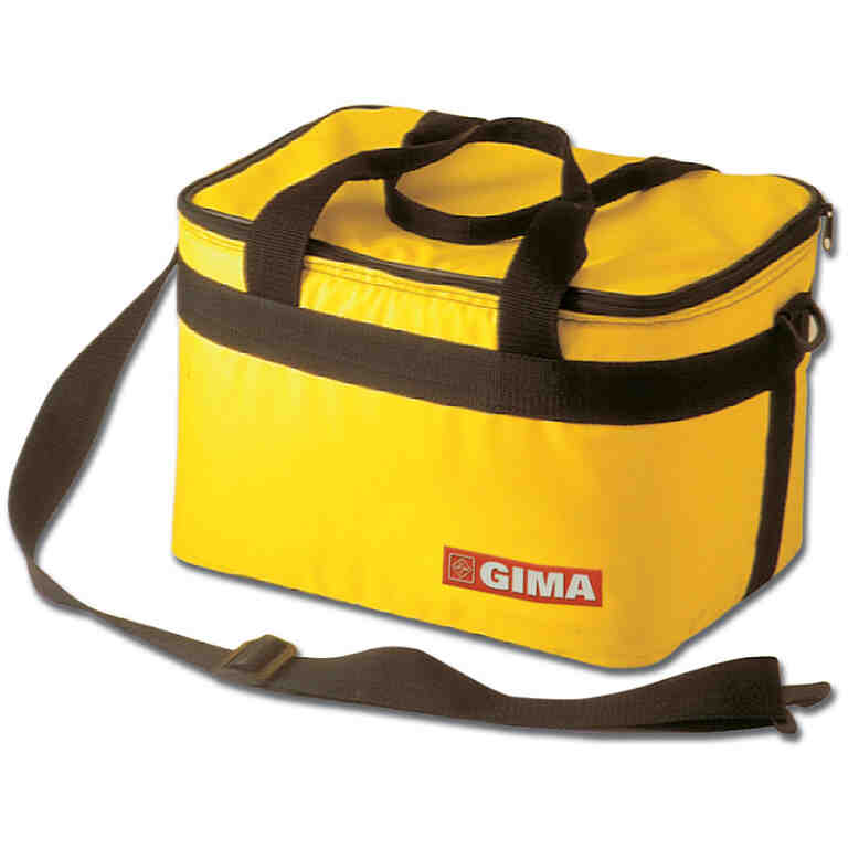 Geanta transport vaccin