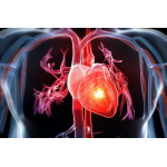 Angiografie coronariană: Tot ce trebuie să știi despre investigația cardiacă minim invazivă