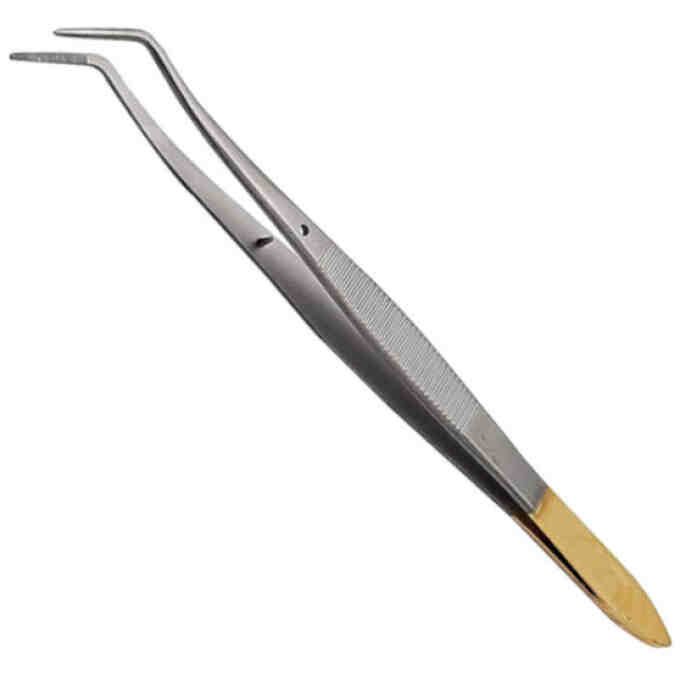 Pensa anatomica Meriam TC