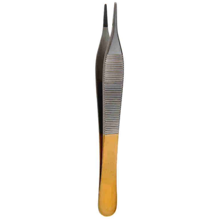 Pensa anatomica Adson TC