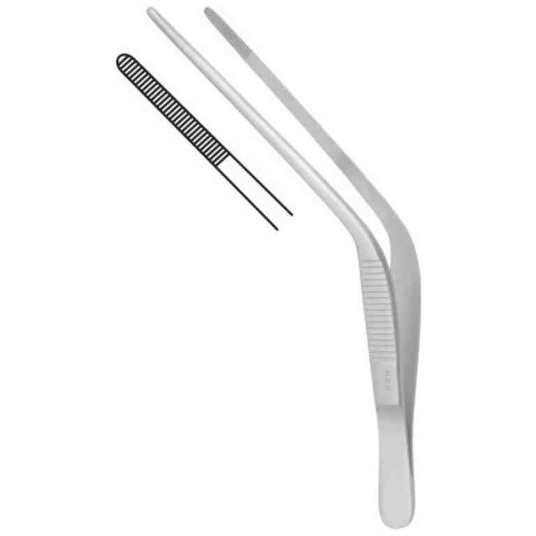 Pensa auriculara Troeltsch