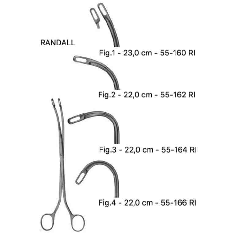 Pensa calculi renali Randall