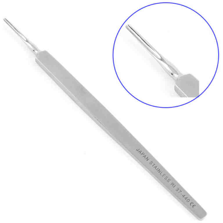 Spatula Walton